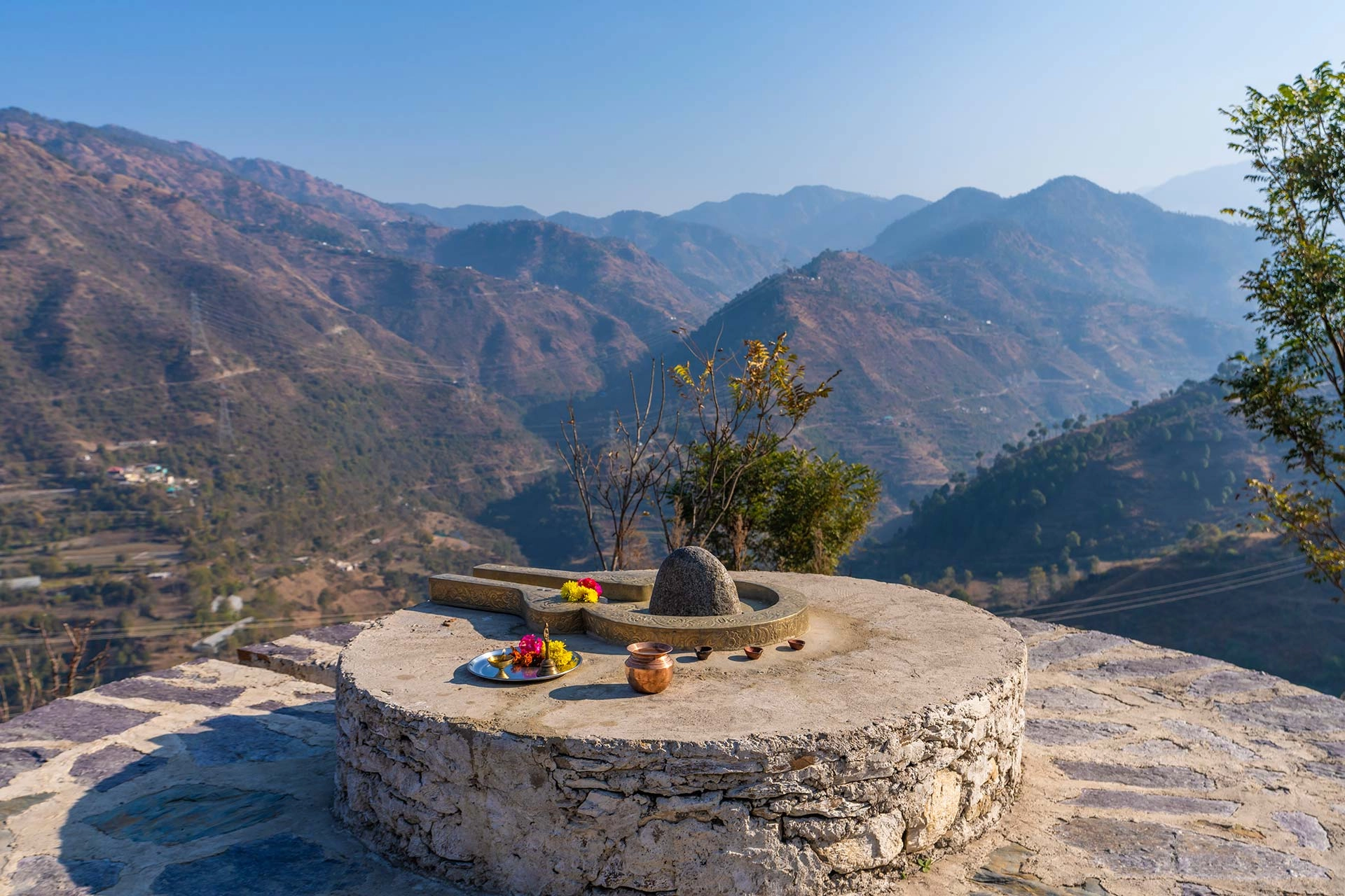 juneo-orchards-45b74a