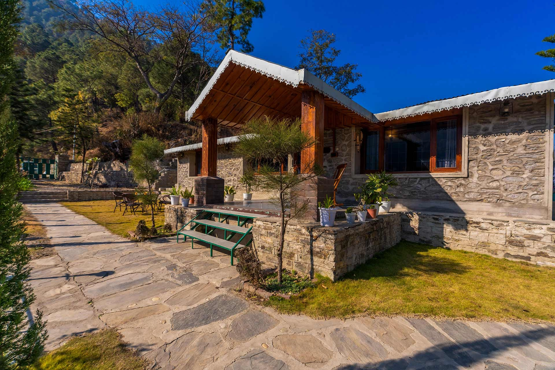 juneo-orchards-6399e7